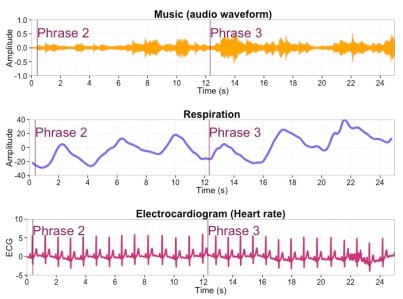 respiration_520_x_700